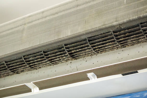 Best Home Air Vent Cleaning  in Ruch, OR
